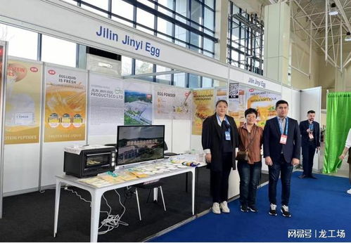 數(shù)字貿(mào)易產(chǎn)業(yè)服務(wù)助力企業(yè)海外拓展——新疆龍工場推動吉林企業(yè)參展獲訂單